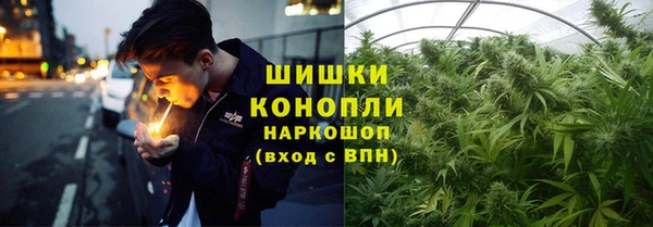 мдпв Кукмор