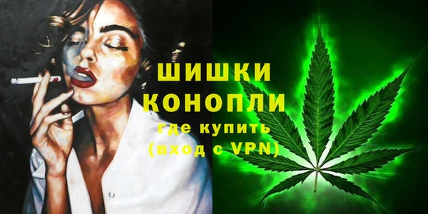 мдпв Кукмор