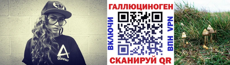 Галлюциногенные грибы Cubensis  Купить закладки  Калачинск 