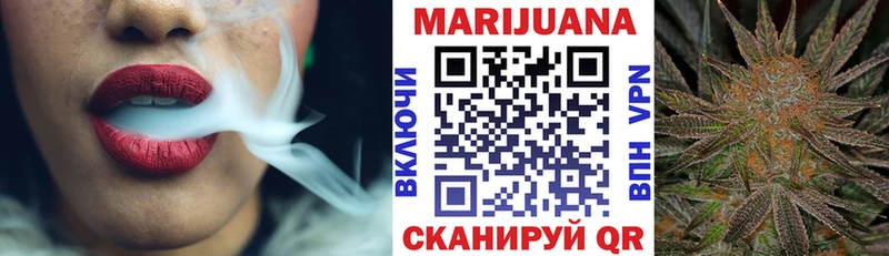 Бошки Шишки план  Купить где  Калачинск 